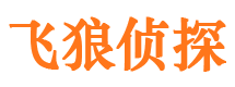 秦安婚外情调查